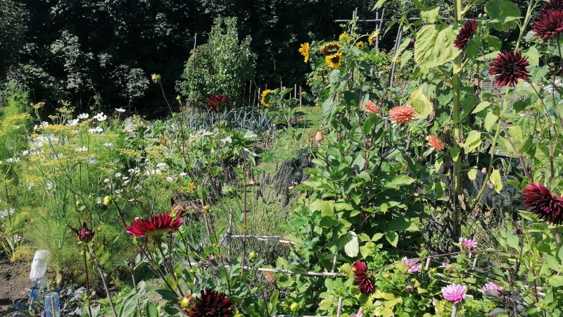 South Street Plots